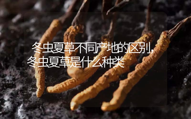 冬蟲夏草不同產(chǎn)地的區(qū)別，冬蟲夏草是什么種類